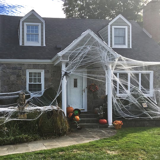 10ft. White Spider Web by Ashland®